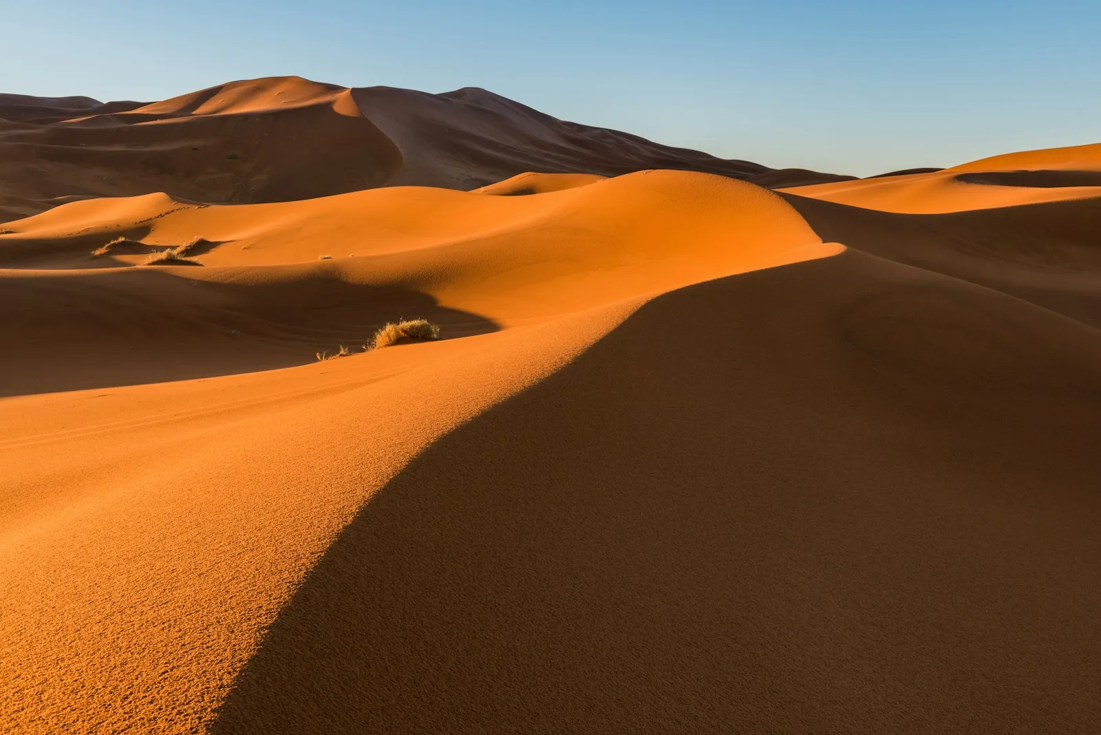 Sahara y kasbahs